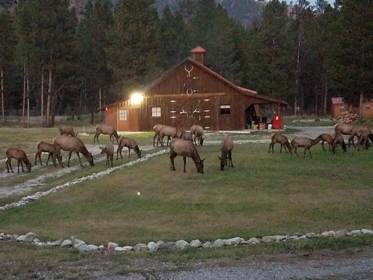 The Wild Game Inn Alta Exterior photo
